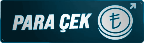 Para Çek